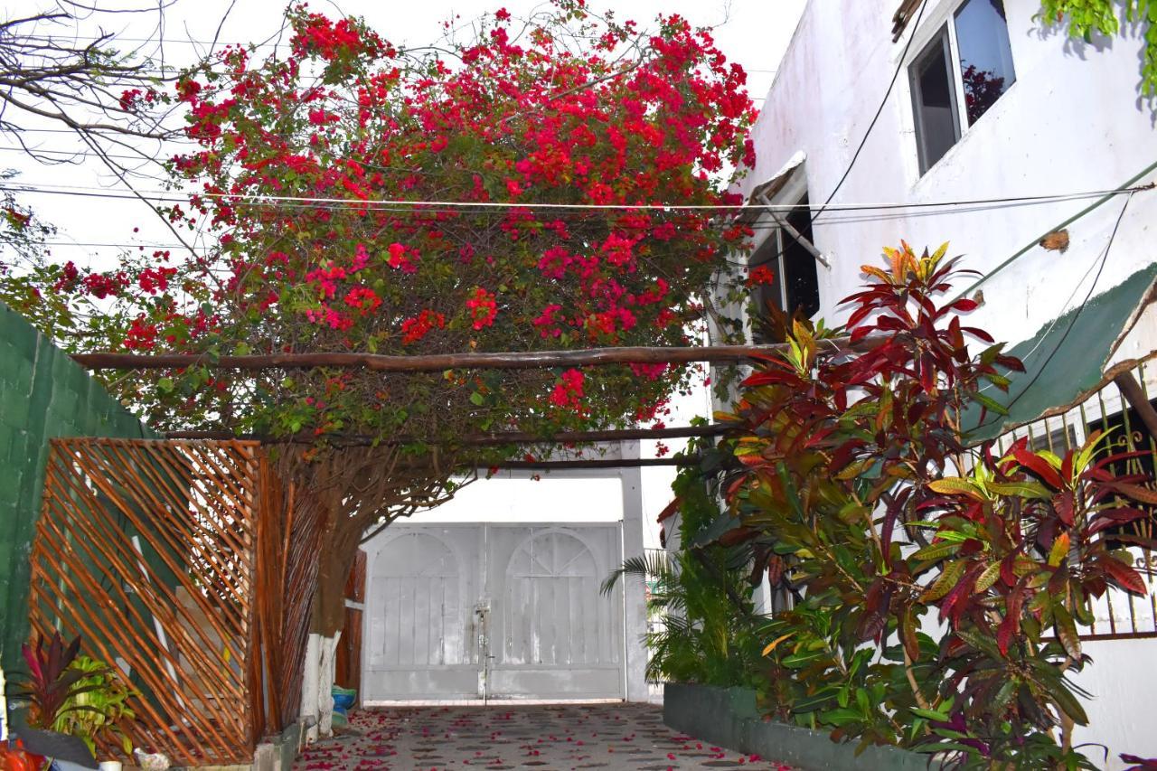 Lobo Inn Tulum Ngoại thất bức ảnh