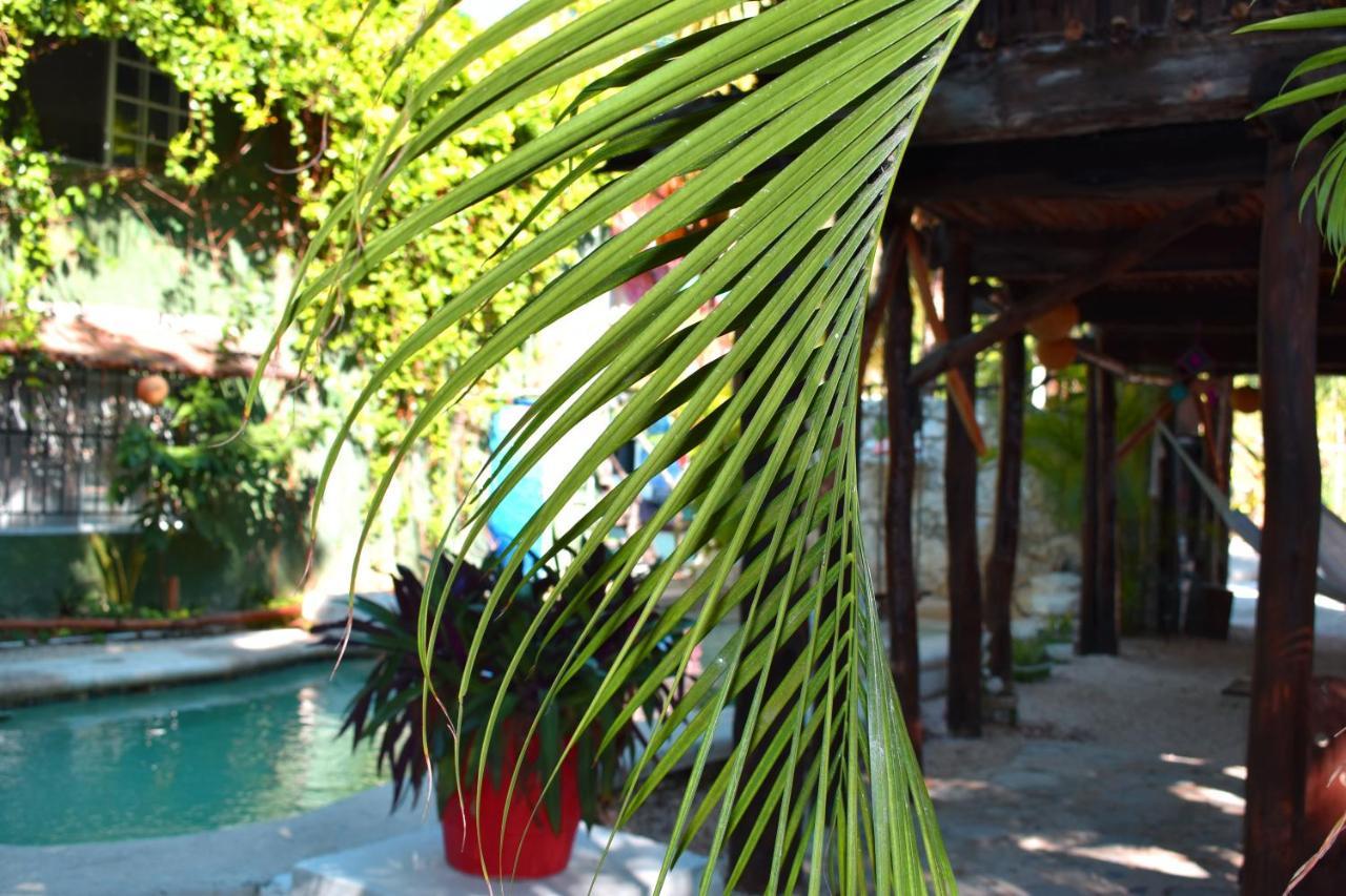 Lobo Inn Tulum Ngoại thất bức ảnh