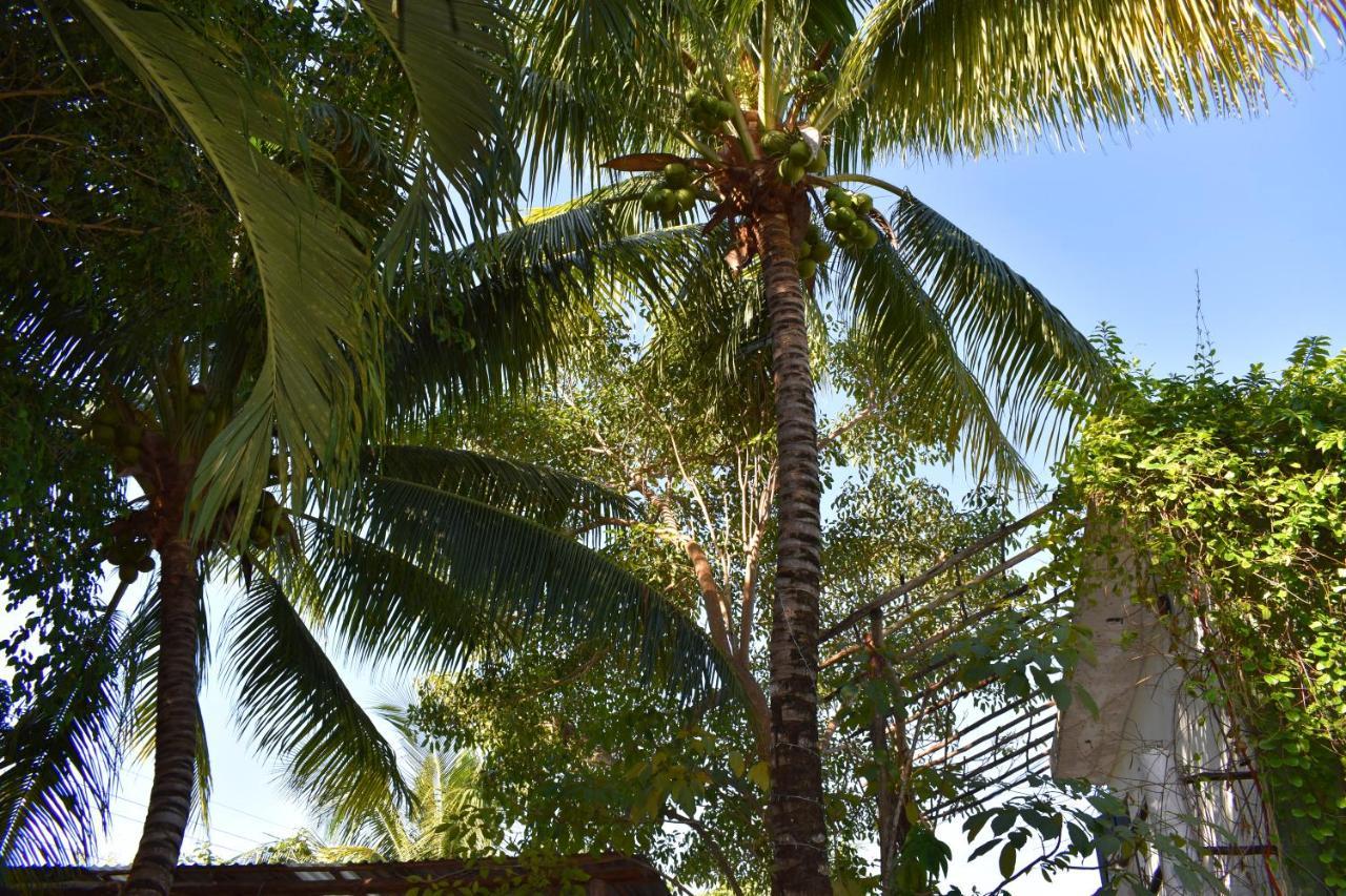 Lobo Inn Tulum Ngoại thất bức ảnh