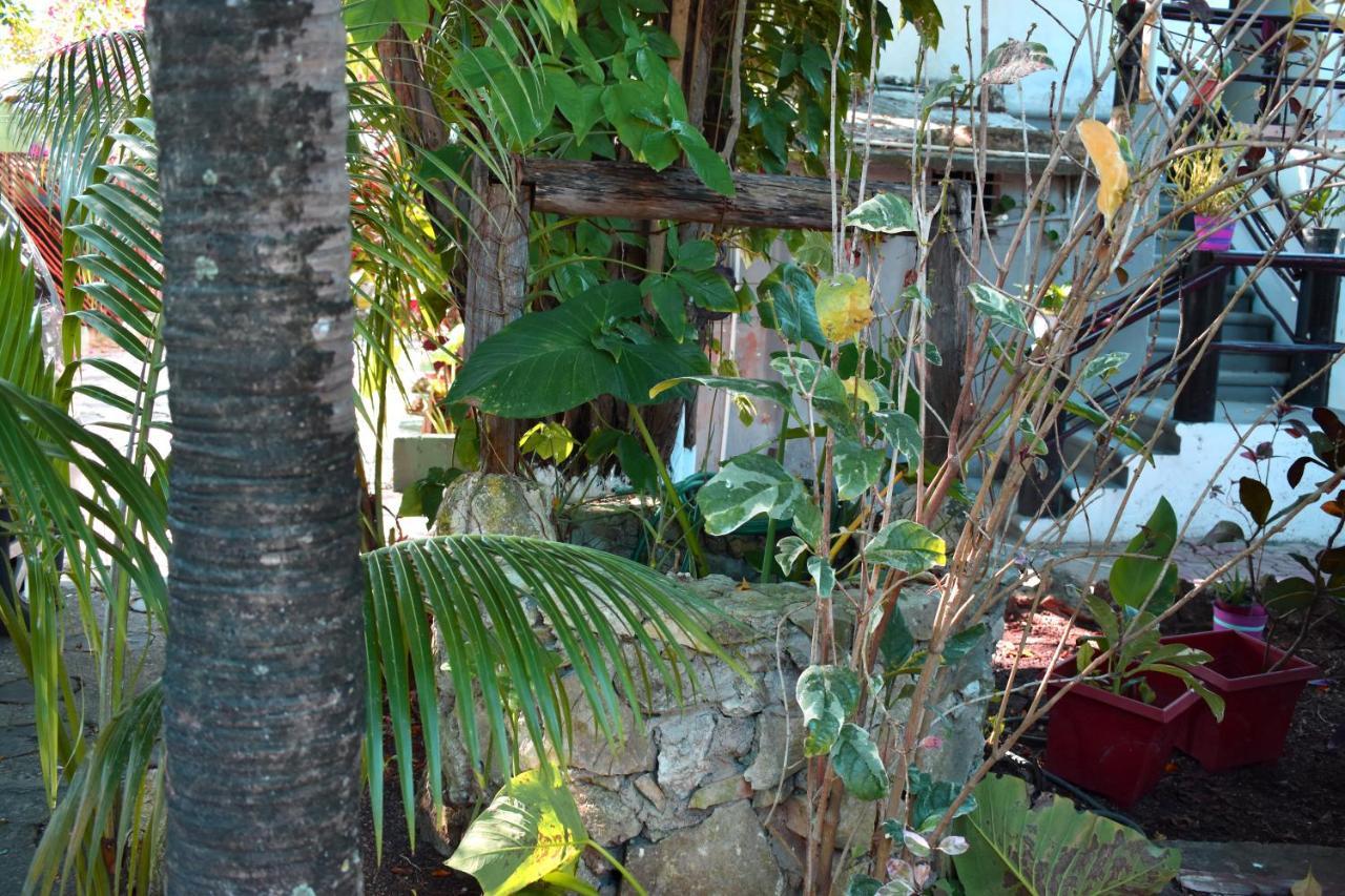 Lobo Inn Tulum Ngoại thất bức ảnh