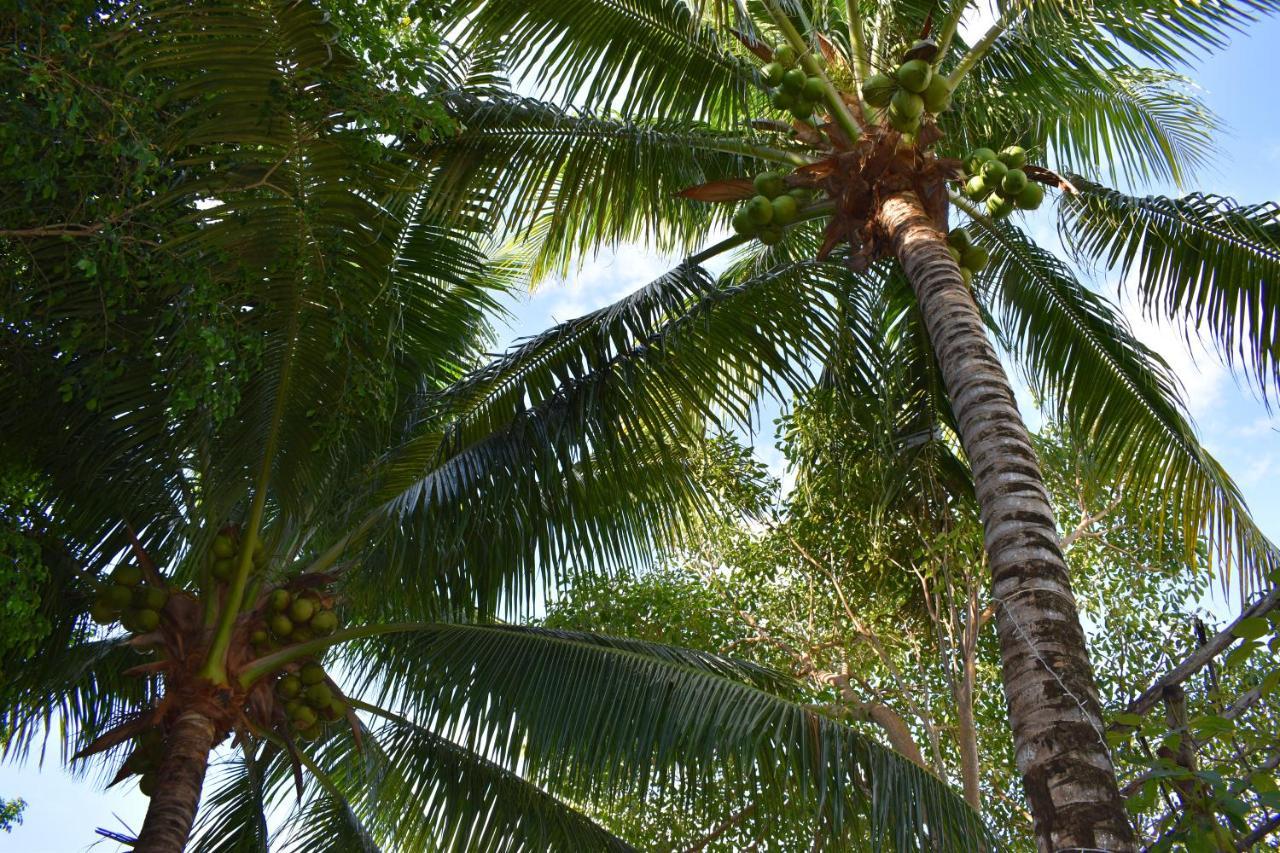 Lobo Inn Tulum Ngoại thất bức ảnh