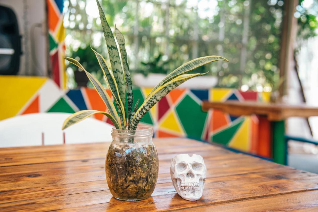 Lobo Inn Tulum Ngoại thất bức ảnh